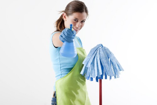 Professional window cleaning on a residential property