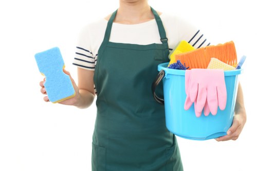 Deep cleaning supplies arranged for home cleaning