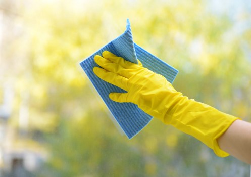 Kitchen domestic cleaning with counters and appliances being cleaned