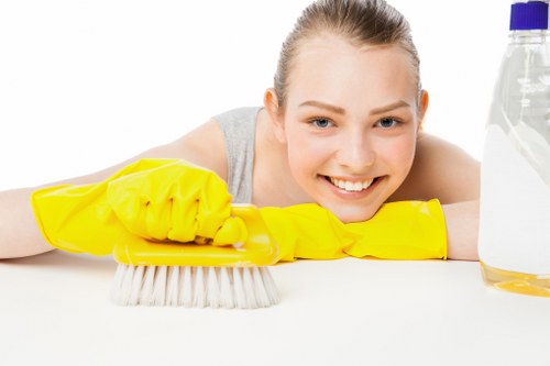 End of tenancy cleaning in a bright rental living room