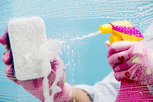 Professional domestic cleaning in a tidy home interior