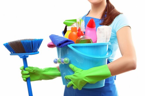 Professional sofa cleaning process on upholstered furniture