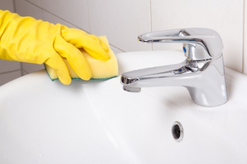 Professional cleaners working in a refined St Johns Wood home