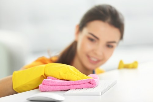 Bedroom mattress deodorizing and stain care process