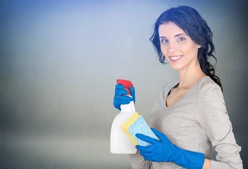 House cleaning tools arranged for home maintenance